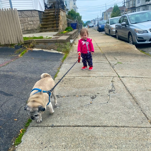 Meet your Posher, Siobhán - Picture 3 of 3